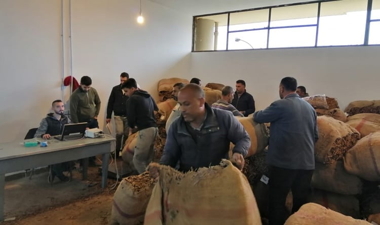"الريجي" تواصل تسلم محصول التبغ من المزارعين في 7 مراكز في مناطق جنوبية