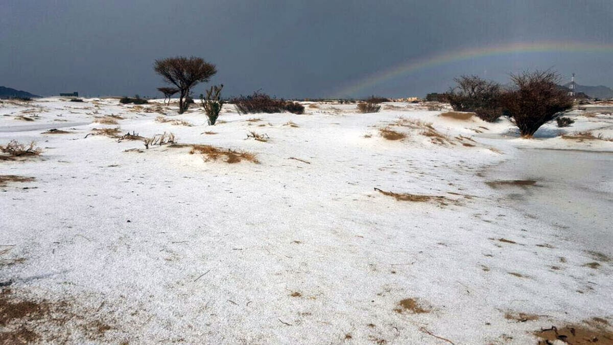 سقوط نادر للبرد في الكويت في ظاهرة لم تشهدها البلاد منذ 20 عاماً