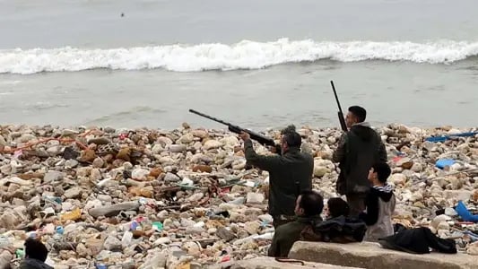 الطيور تطوّق مطار بيروت: بنادق الصيّادين أم الحلول البيئية؟