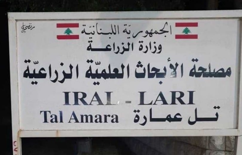 مصلحة الأبحاث العلمية: لا داعي للتهويل ولا يُمكن التنبؤ بحدوث زلزال