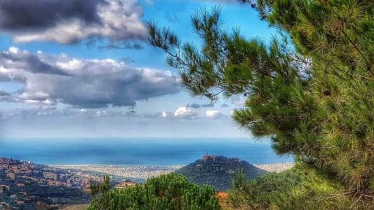 غبار وحر… ومفاجأة الطقس في نهاية الأسبوع