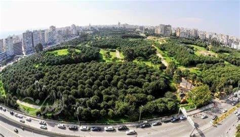 توقيف شخصين في حرج بيروت بحوزتهما حشيشة الكيف