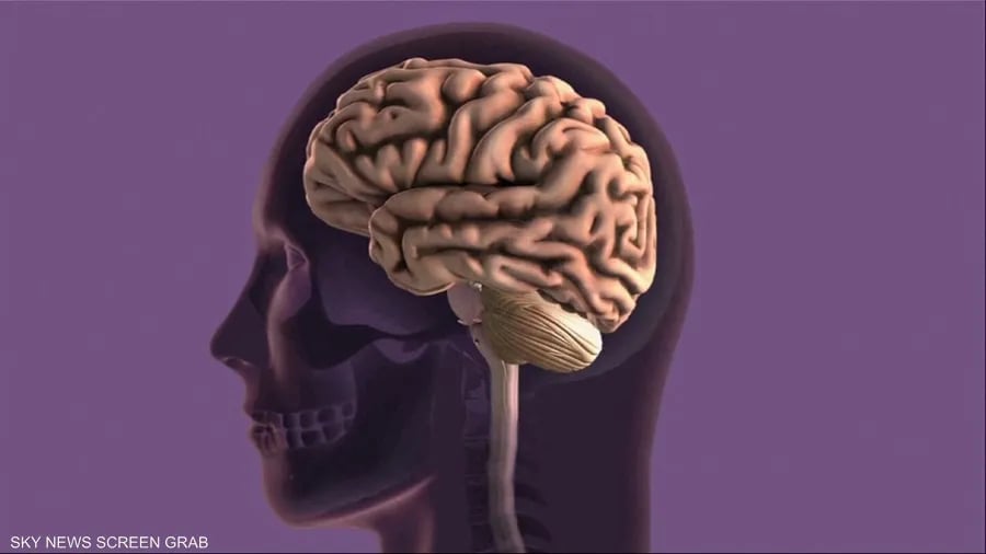 مستوى التعليم والإصابة بالخرف..علاقة غير متوقعة