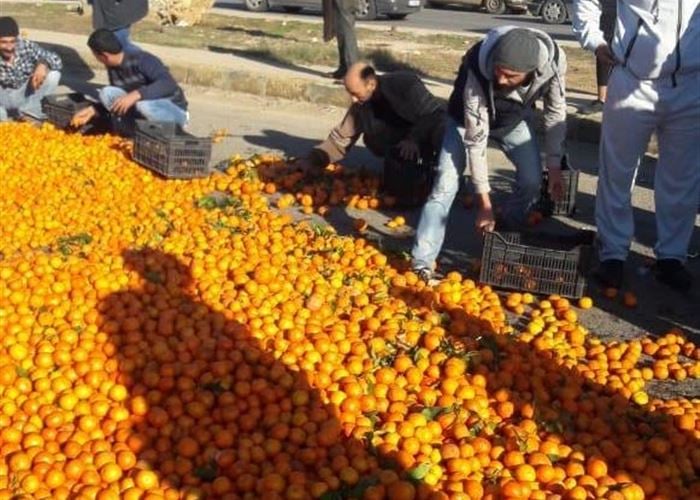 نقابة الحمضيات: لانتشال قطاعنا من الانهيار الكامل