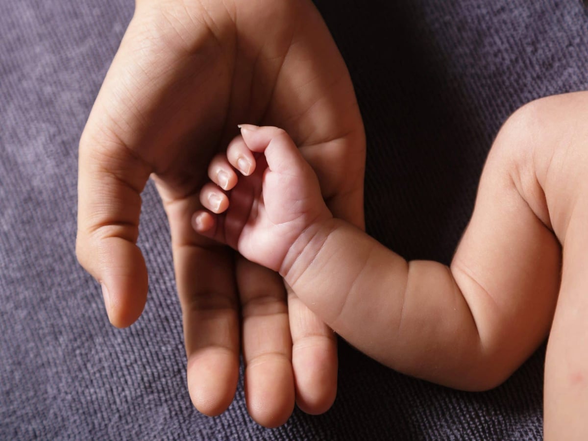 من الجلد أو من خلايا الدم: أطفال دون جنس أو إخصاب