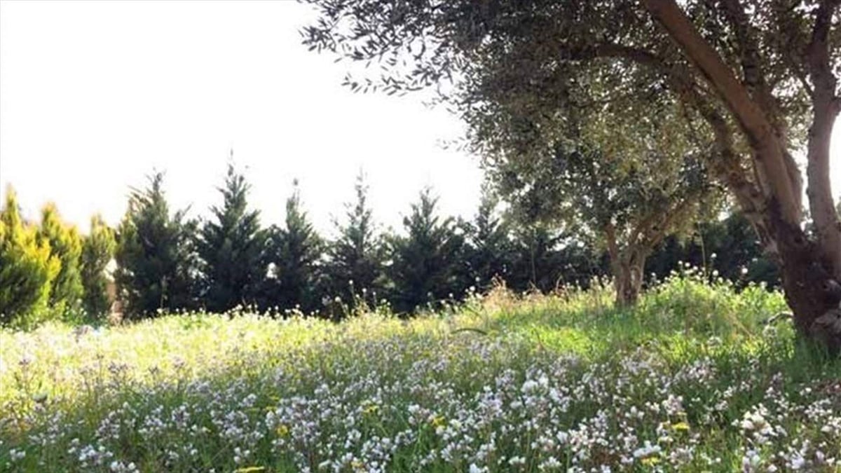 حال الطقس.. ربيعي مستقر ومعتدل الحرارة