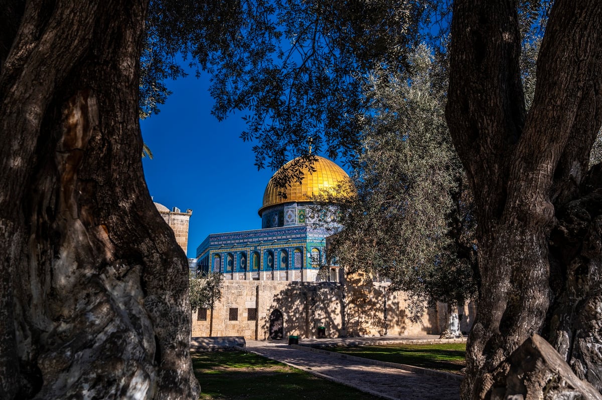 هاشم: آن الاوان لقرارات جريئة بمستوى قيم القدس ومعانيها