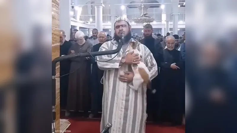 فيديو القطة.. الإمام الجزائري يكشف تفاصيل مشهد خطف القلوب
