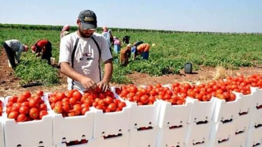 دُلّلت وتدلّلت سابقاً… ما هو دور المديرية العامة للتعاونيات؟