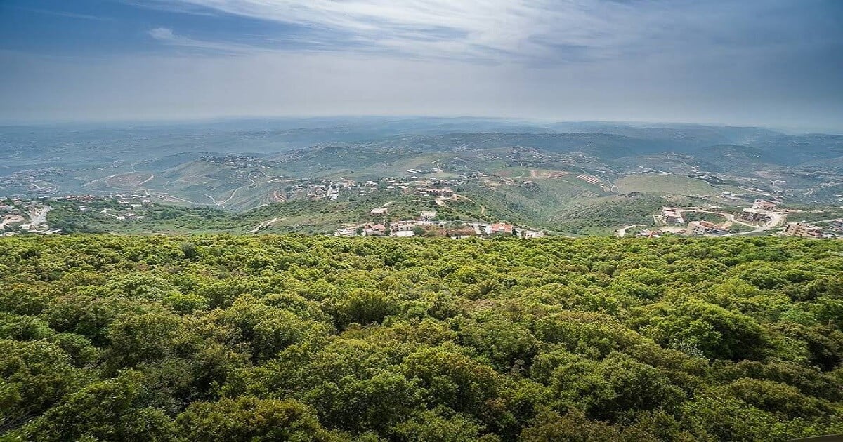 الجنوب وجهة سياحية واعدة… والعيشيّة نموذج