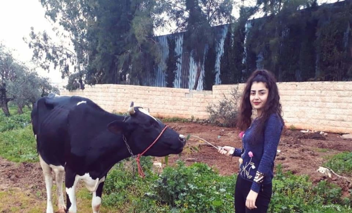 حكاية ميشلين.. طالبة لبنانية تجمع بين رعي الأبقار والقانون