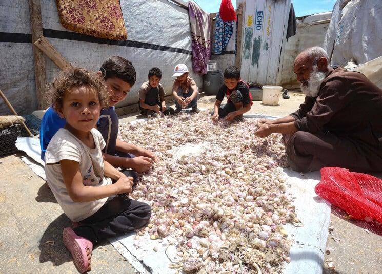 وزير ينصح بوريل: خذ النازحين ثم إضغط على الأسد براحتك!