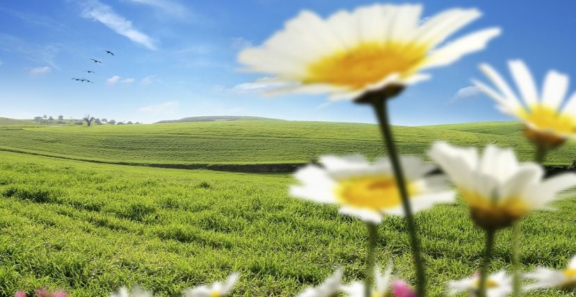 ماذا يحمل طقس الايام المقبلة؟