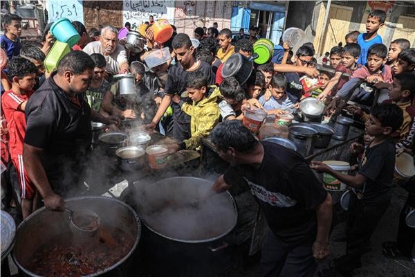 64 % من سكان غزة يتناولون الحشائش والطعام منتهي الصلاحية لسد الجوع