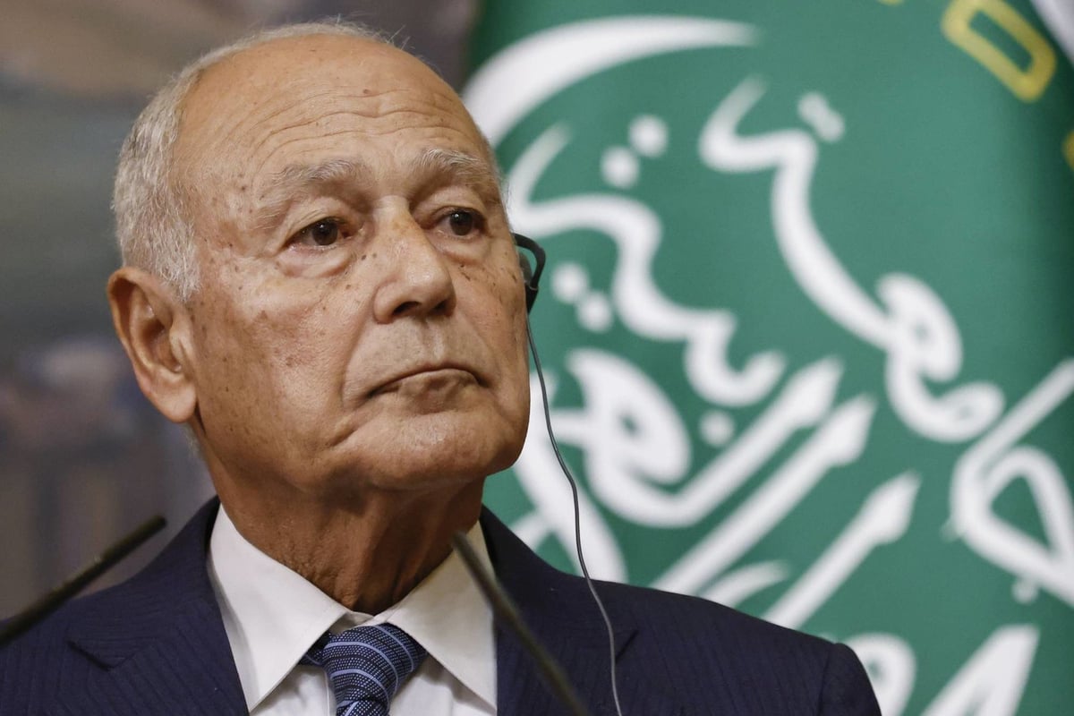 الجامعة العربية تدعو إلى إقامة دولة فلسطينية