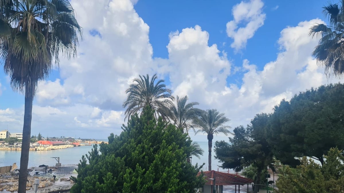 الشمس تطلّ من خلف الغيوم.. أيام دافئة تنتظرنا