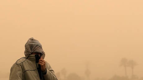 مصر.. مطالب للمواطنين بإغلاق النوافذ بسبب ذباب يحمل أمراضا خطيرة