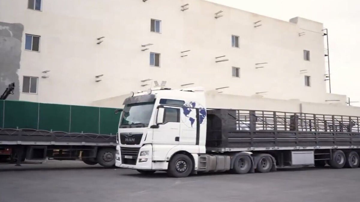 الجيش الإسرائيلي يعلن نقل 50 شاحنة محملة بالمساعدات إلى شمال غزة نيابة عن الأردن