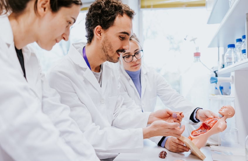 أجسام صناعية بشرية للتجارب الطبية