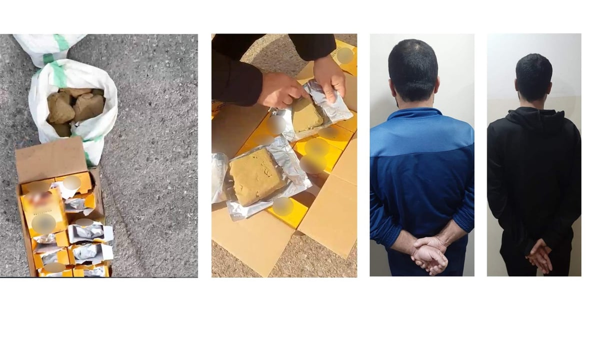 معدّة للتهريب عبر مرفأ بيروت… ضبط ١١٠٠ كلغ من مادة حشيشة الكيف
