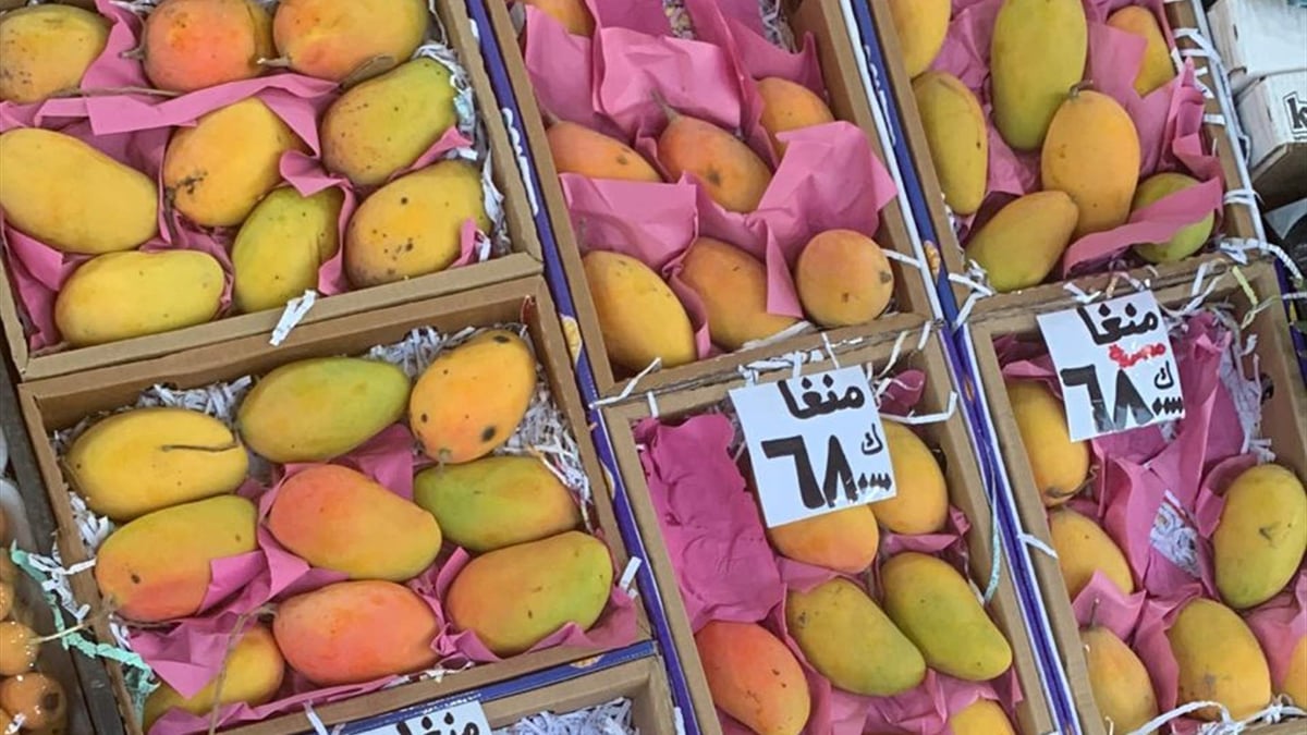 ضبط أكثر من 3 أطنان من الفواكه المهرّبة في طرابلس