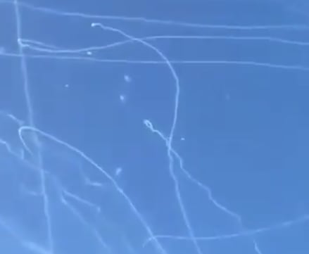 شاهد.. بث مباشر لمعركة الصواريخ في سماء تل أبيب
