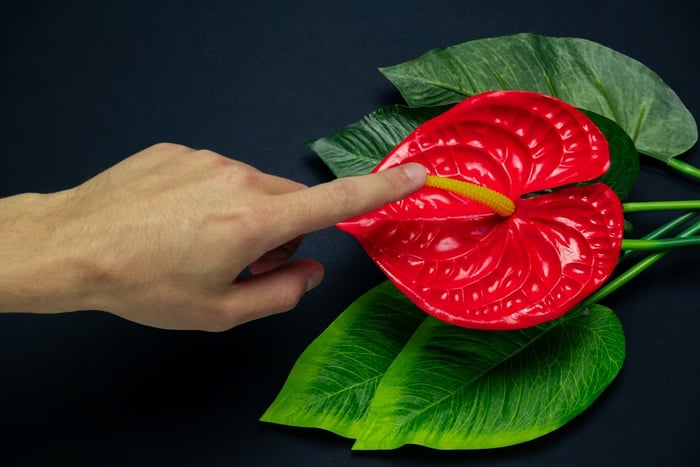 سر المتعة الدائمة.. تعرف على العضو الوحيد الذي لا يشيخ في جسد المرأة