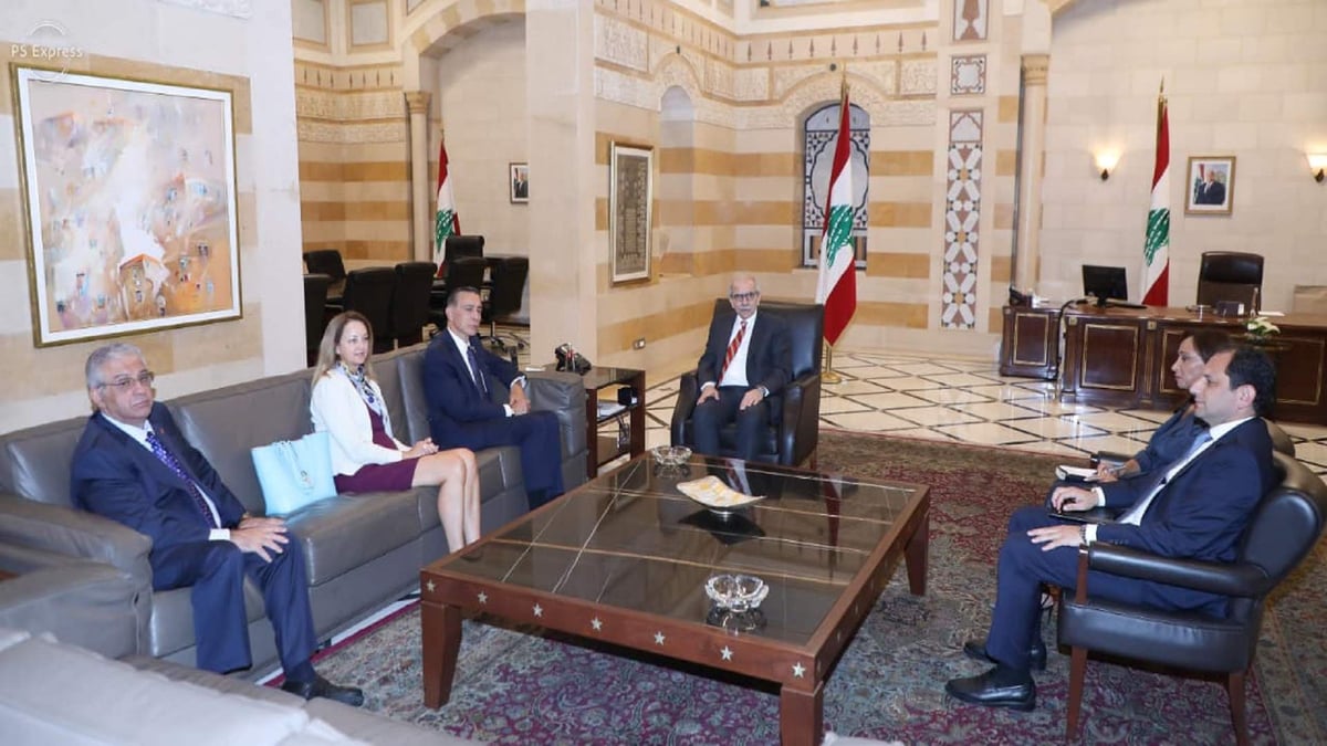 داريل عيسى من السراي: أرى ولادة جديدة للبنان والجيش اللبناني سيقوم بما هو مطلوب منه