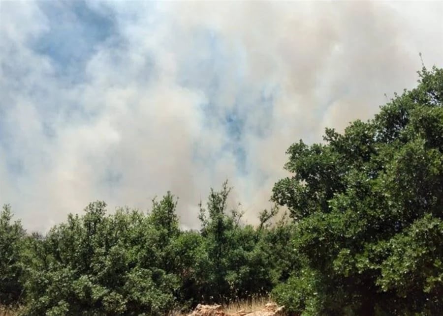 السيطرة على حريق اندلع في أحراج الهرمل
