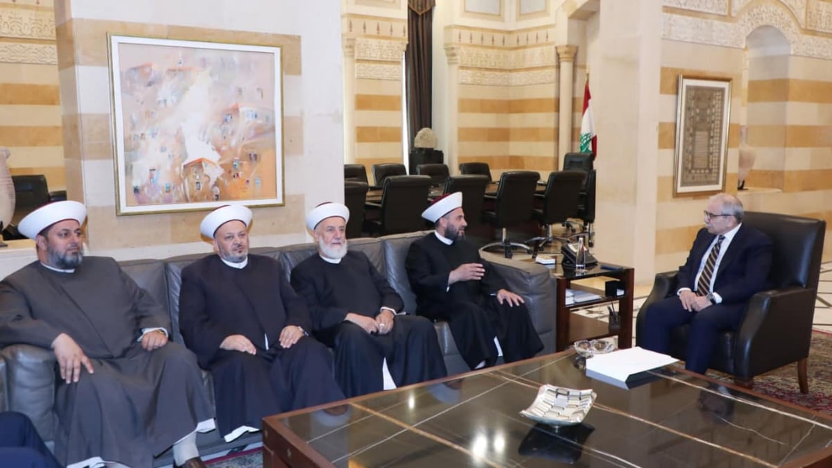 لقاءات إنمائية ونقابية في السراي