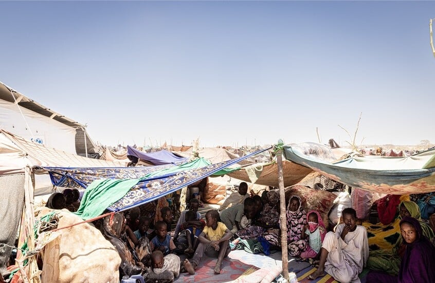 سكان الفاشر السودانية يقتاتون على علف الحيوانات وسط المجاعة