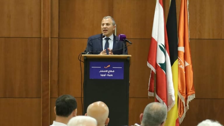 باسيل: خضنا معارك لنعيد للإنتشار حقّه بالتصويت والترشّح