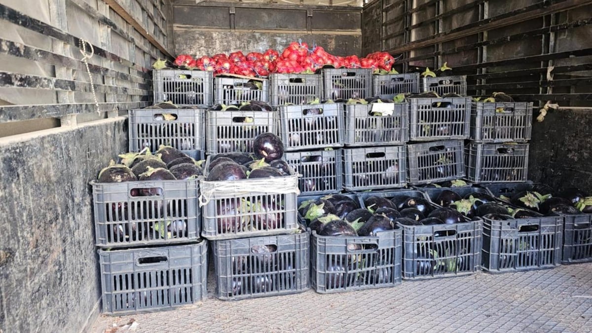 بالصور: ضبط جملة بضائع مهربة