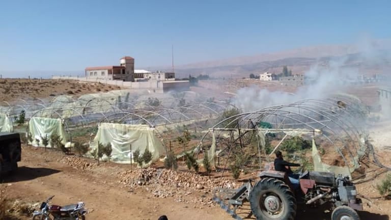 بالصور: الجيش يتلف مزارع ماريجوانا ويوقف مطلوبين في مناطق عدة
