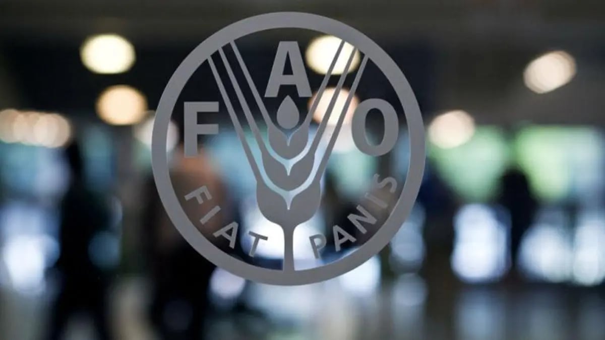 انخفاض طفيف في أسعار الغذاء العالمية بقيادة السكر والحبوب في يونيو