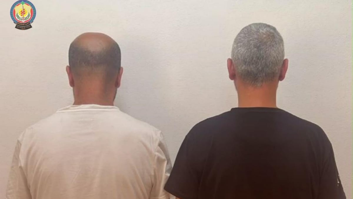 Двое сирийских детей получили ливанское гражданство незаконно