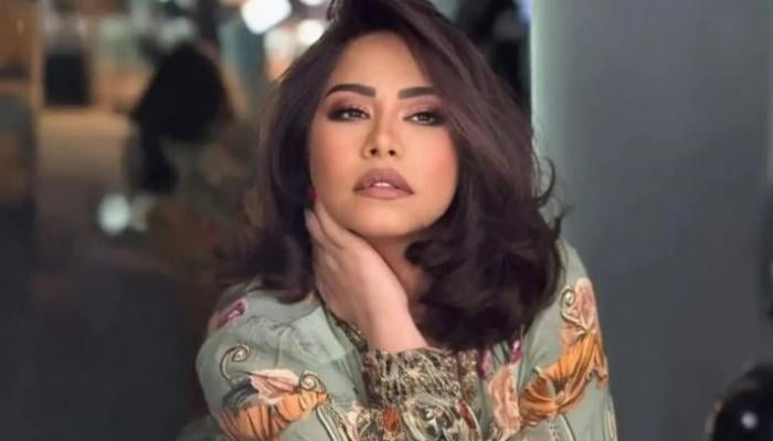 شيرين عبدالوهاب ترفع دعوى قضائية ضد مدير حساباتها السابق لاسترداد أرباحها