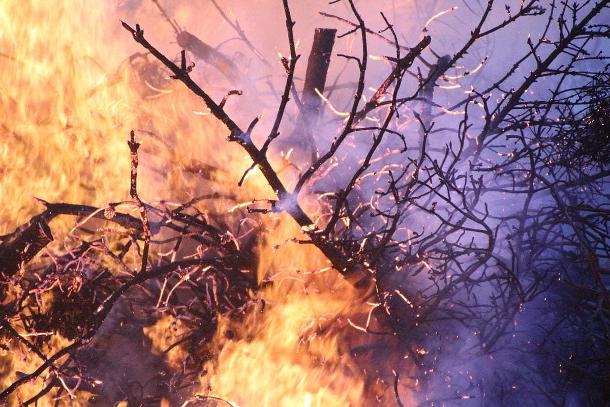 At Least 12 Dead in Unprecedented Forest Fire in Southern Spain