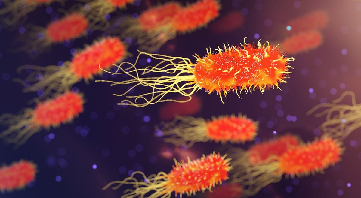 Researchers Decode Bacterial Enzyme System Creating Multiple Cancer Drugs