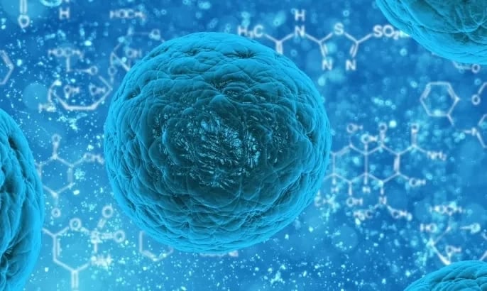 بروتين اصطناعي آمن يسمح بمراقبة الخلايا الجذعية لمدة 13 يوماً