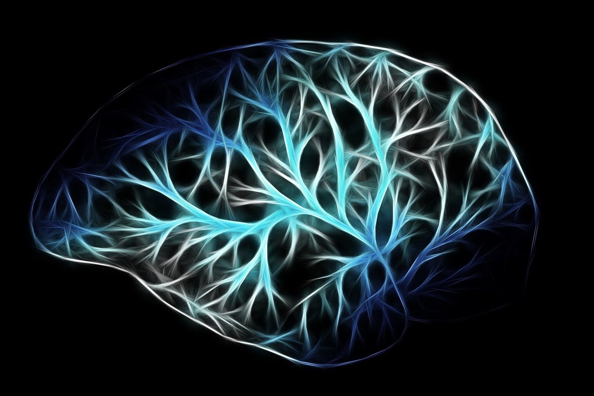 BRAF identifié comme conducteur clé de la douleur neuropathique