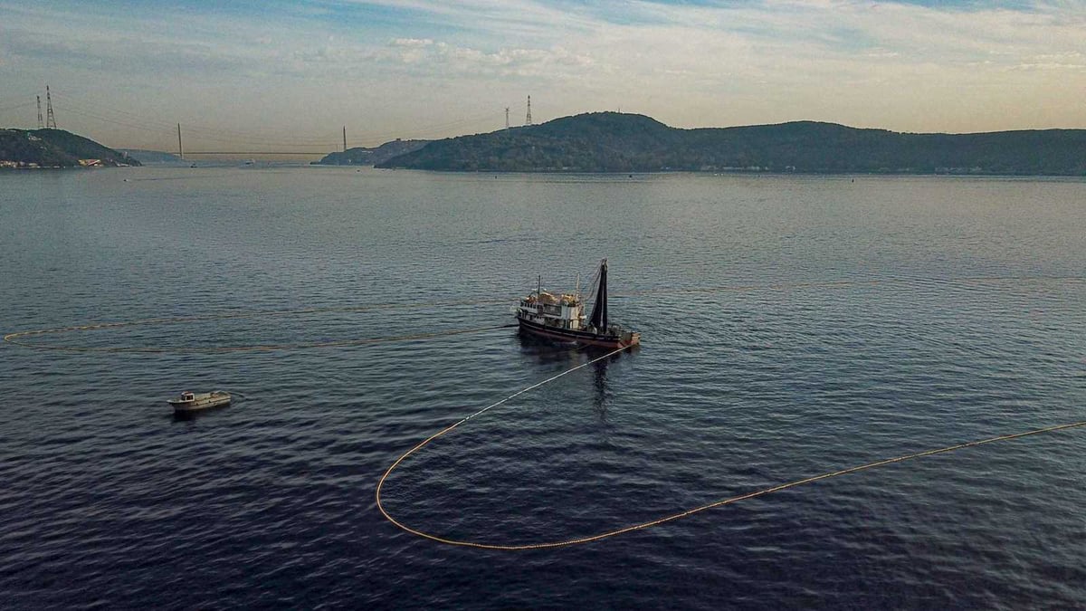 Collision de deux navires marchands au large d’Istanbul