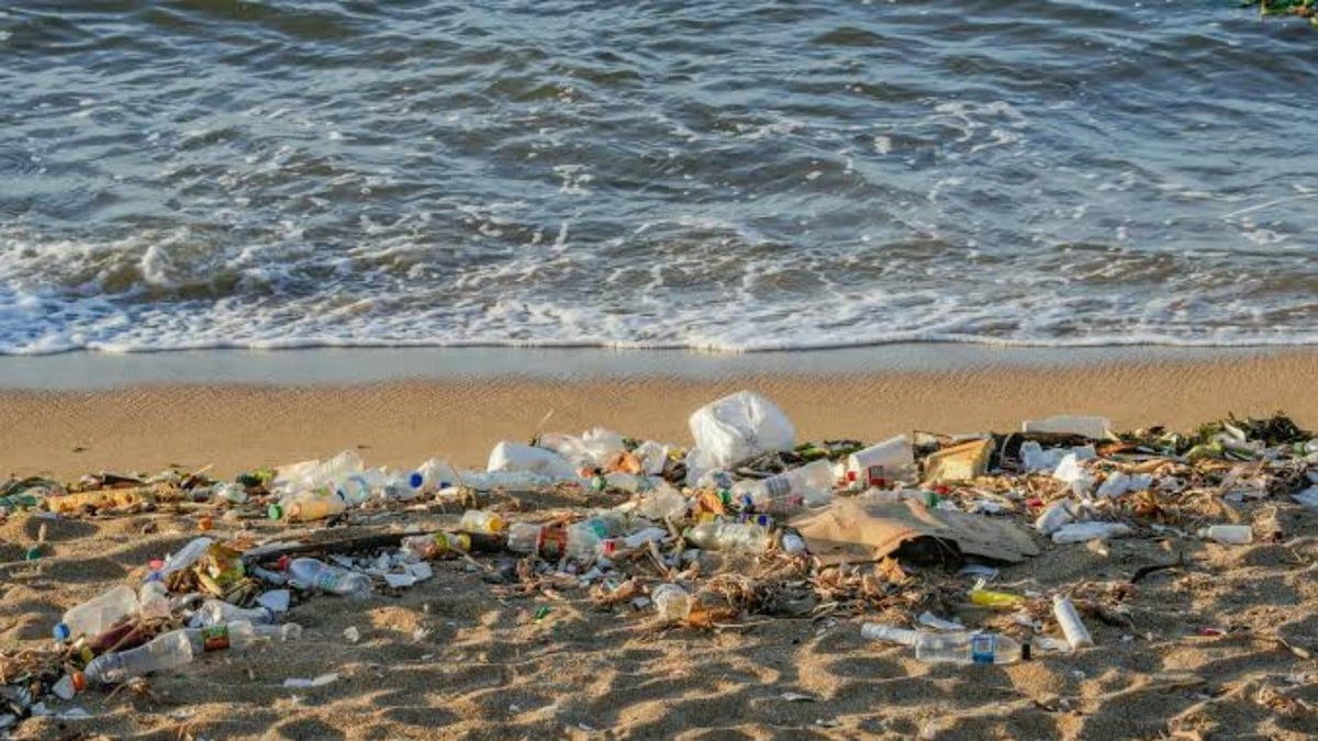 Civil Defense Keeps Pace with Coastal and Marine Cleanup Campaign
