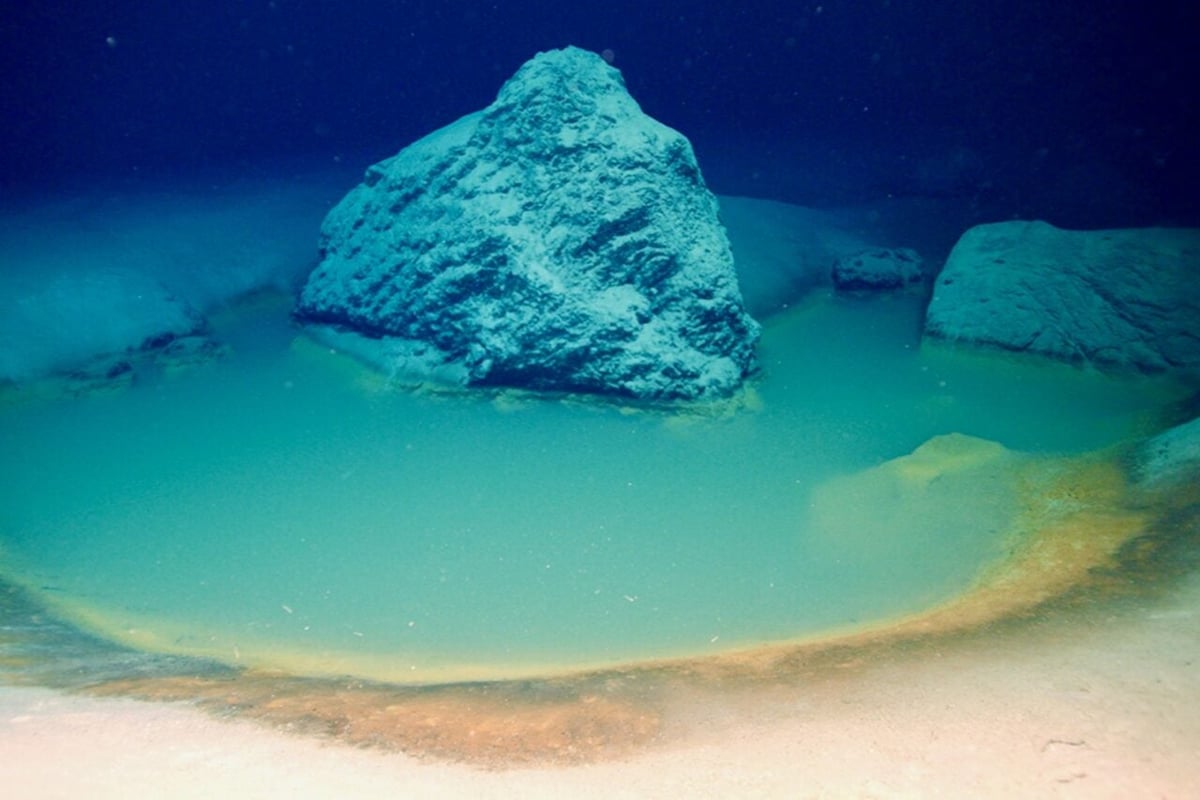 Extinct Red Sea Brine Pool Reveals Pre-Oxygen Life Mechanisms