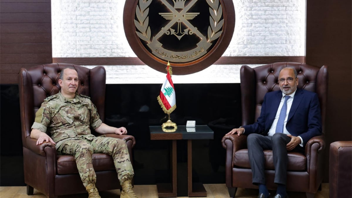 هيكل وريزا يبحثان آليات المساعدات الإنسانية والتحديات في جنوب لبنان