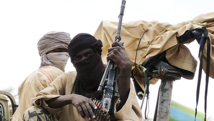 В нигерийском штате Борно боевики Boko Haram убили 20 фермеров