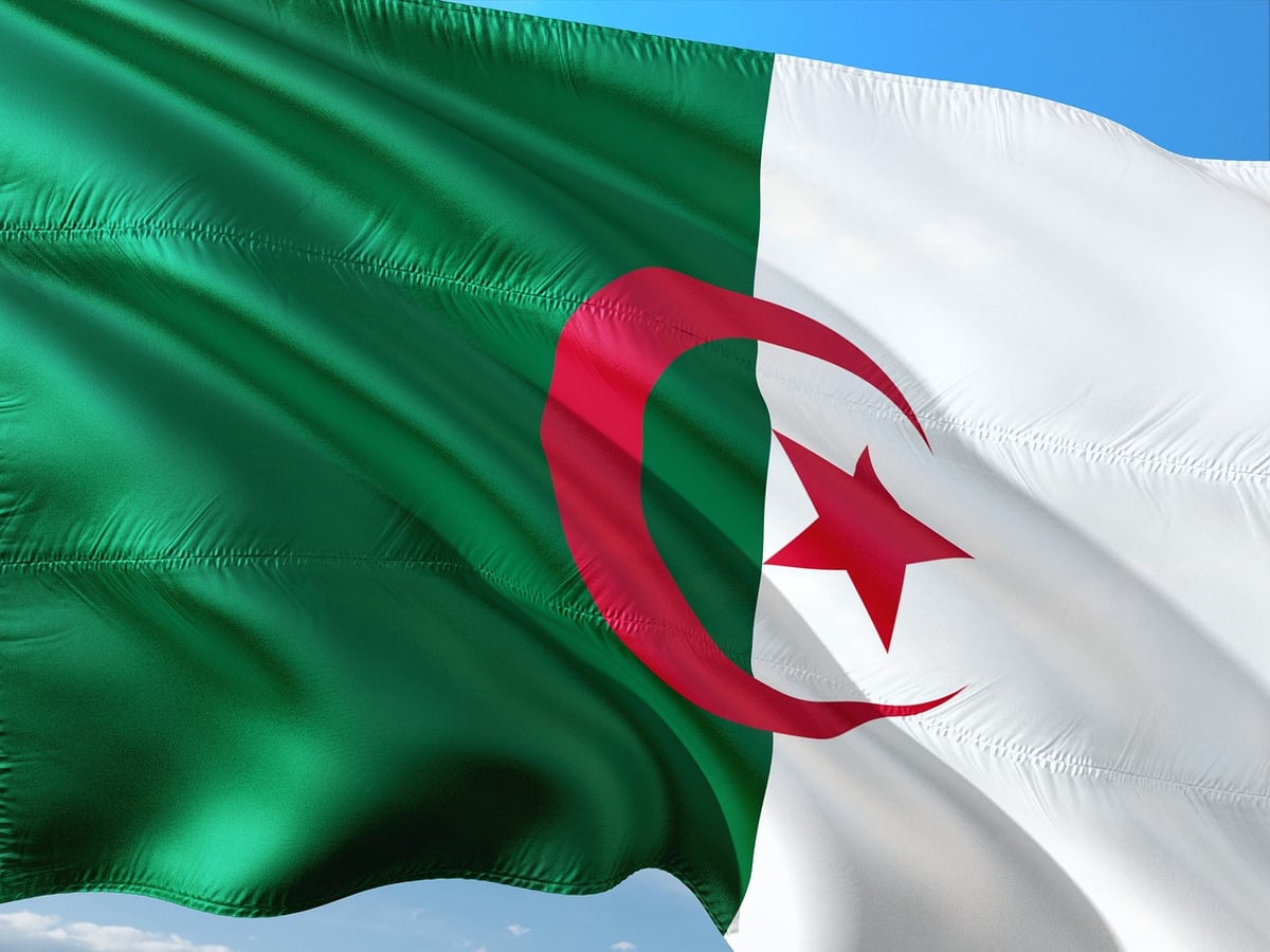 banner, flag, algeria