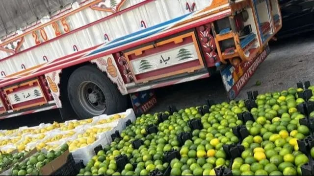 Evitan el contrabando de grandes cantidades de cítricos sirios a Líbano