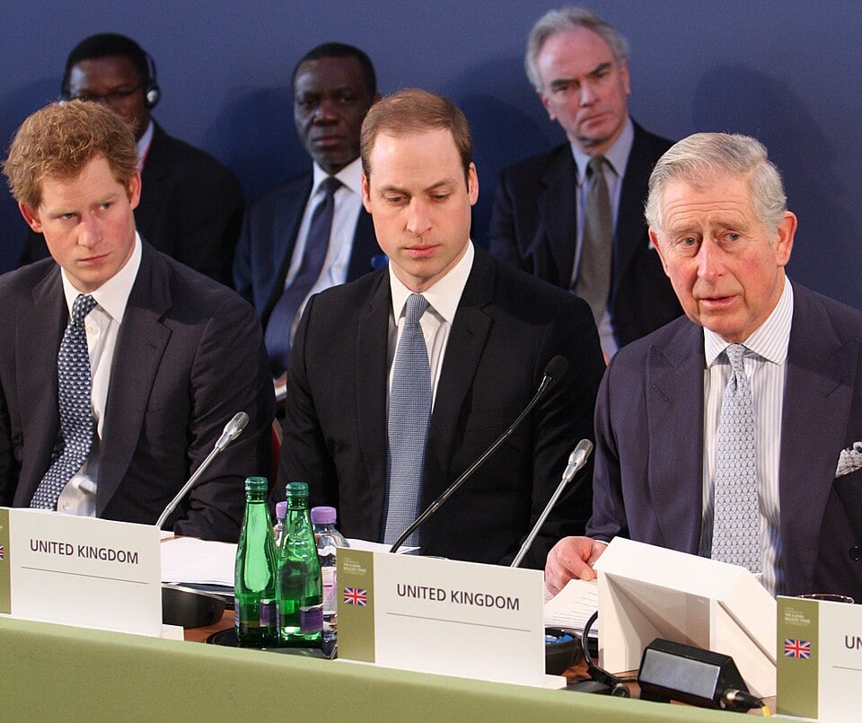 Princes Harry, William and Charles at the London Conference on The Illegal Wildlife Trade