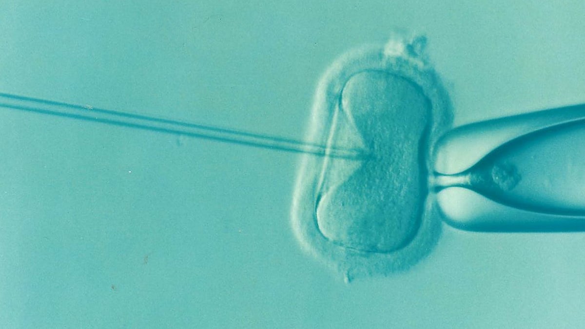 Vibration control essential for IVF lab success